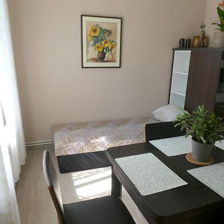 Apartman Marenka Nove Mesto na Morave Eksteriør bilde