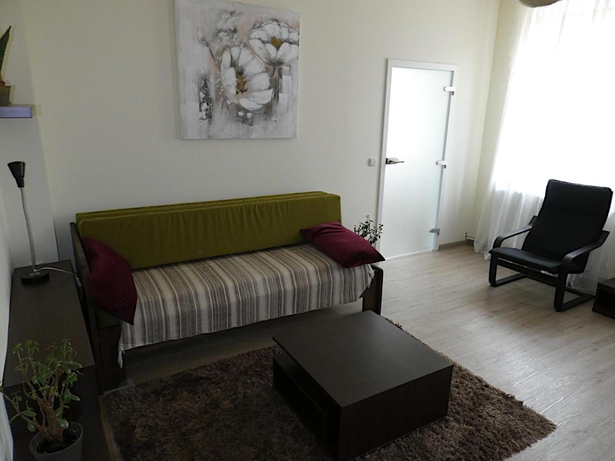 Apartman Marenka Nove Mesto na Morave Eksteriør bilde